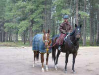 Samantha Harvey riding a thoroughbred and ponying another horse in the woods
