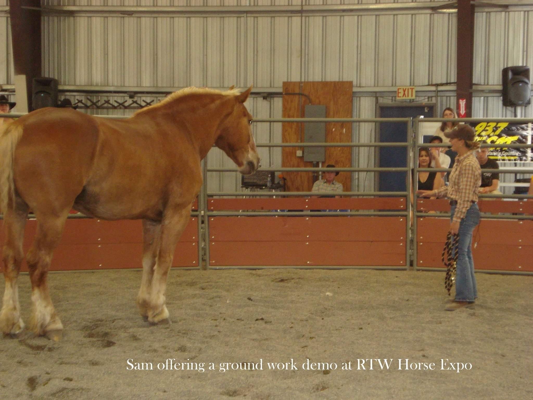Samantha Harvey Ride the West Expo Demonstration with a Belgian Draft Horse
