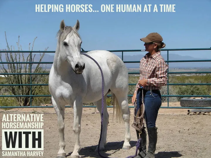 Samantha Harvey working with a horse