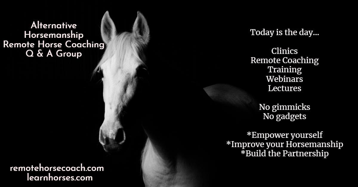 Alternative Horsemanship™ the Remote Horse Coach Facebook Coaching Group
