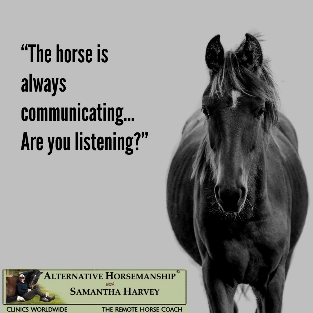 Alternative Horsemanship™ Quote on Horse Behavior and Training