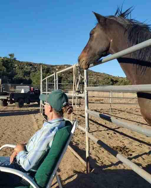 Samantha Harvey teaching horsemanship with horse observing