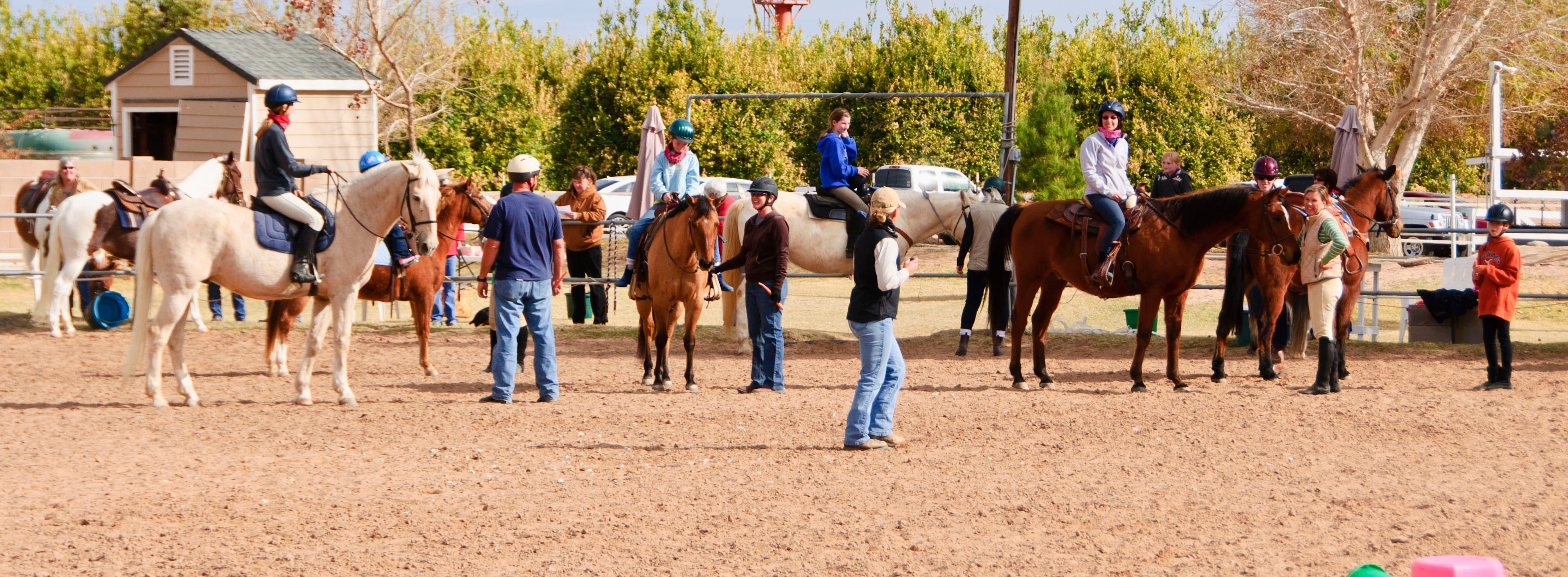 Alternative Horsemanship™ Teaching