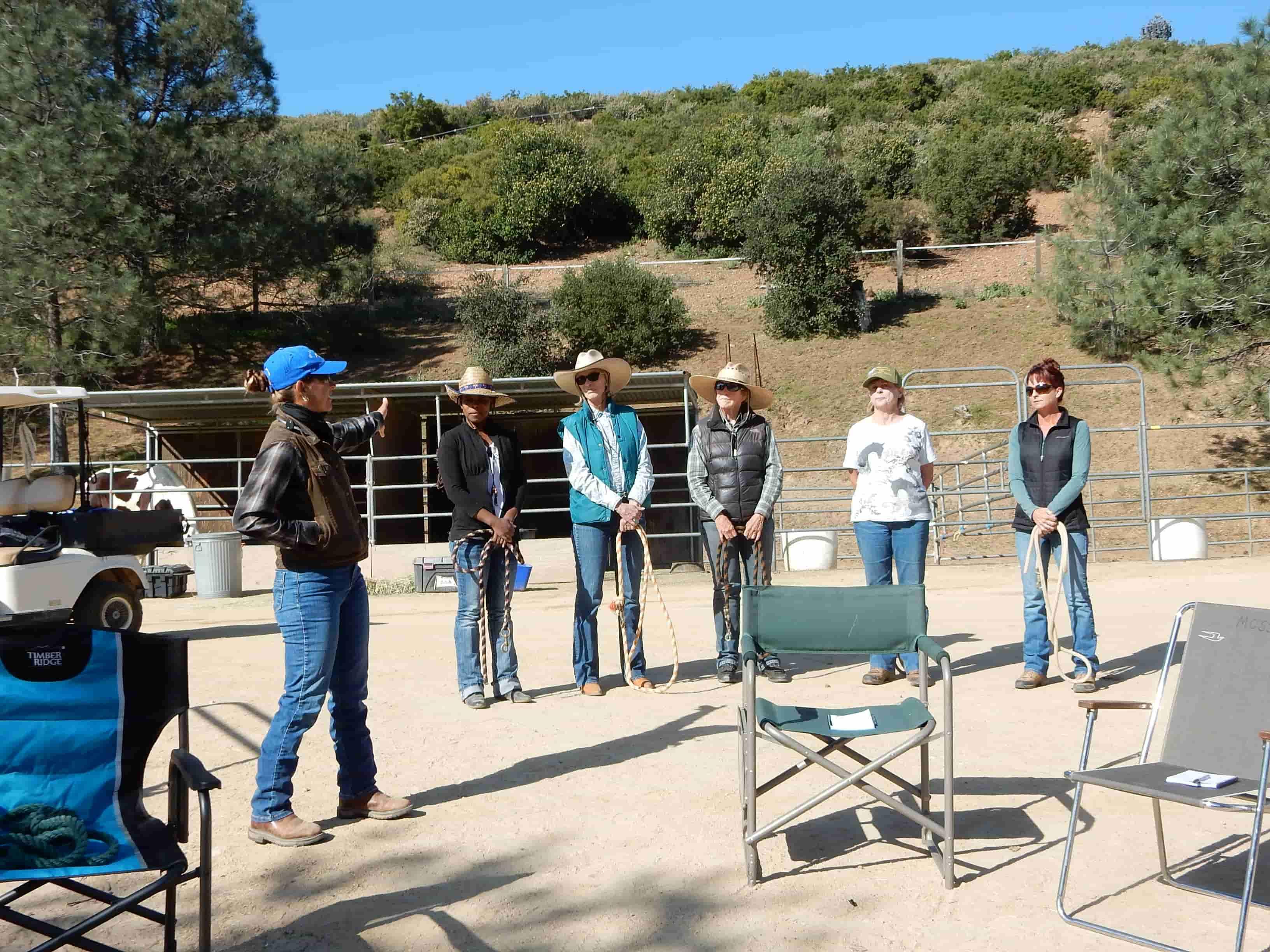 Alternative Horsemanship™ FAQs