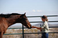 Samantha Harvey working with a thoroughbred horse