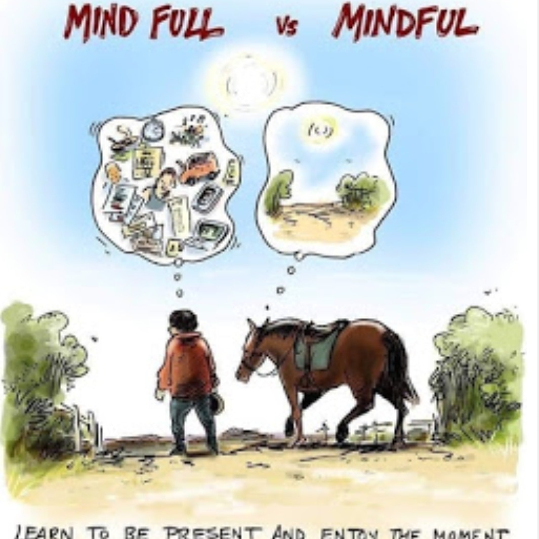 Horses Mindful Quote