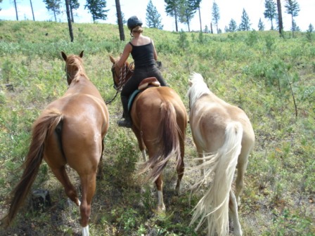 Samantha Harvey ponying two horses in the woods while riding a third