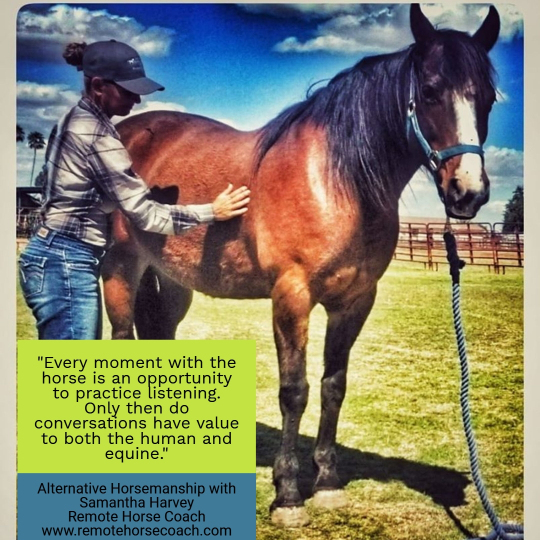 Alternative Horsemanship™ Training Quote