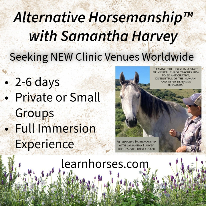 Alternative Horsemanship™ Clinic Venues Wanted