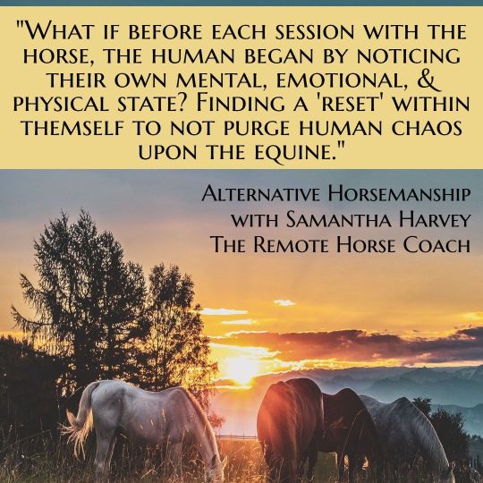 Alternative Horsemanship™ Quote on Horse Behavior and Training