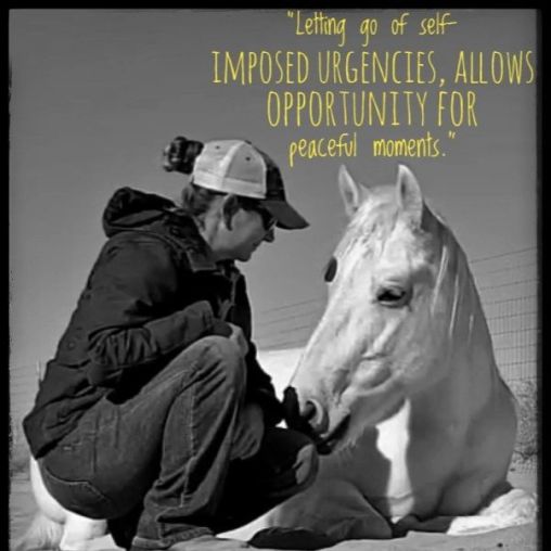 Alternative Horsemanship Quote